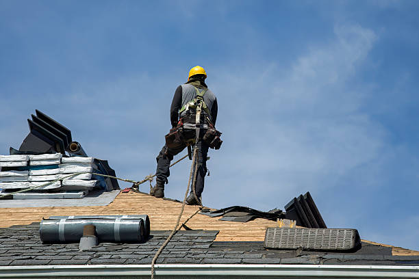 Professional Roof Replacement technician working in Linden, TX